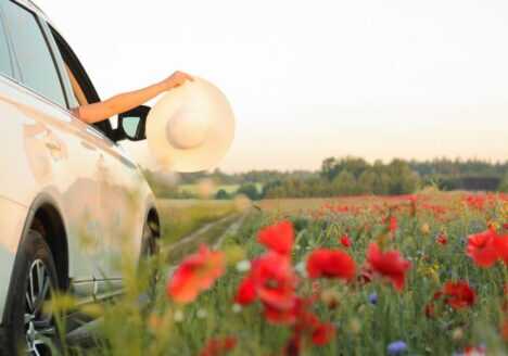 consecuencias de la primavera en el coche