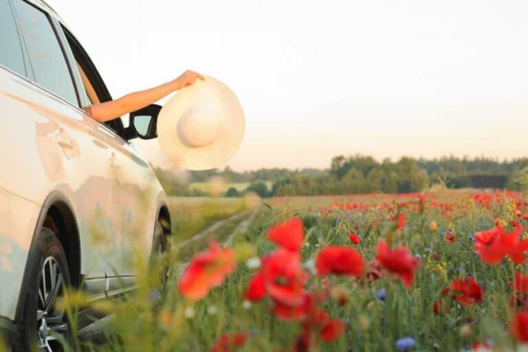 Consecuencias de la Primavera en el Coche