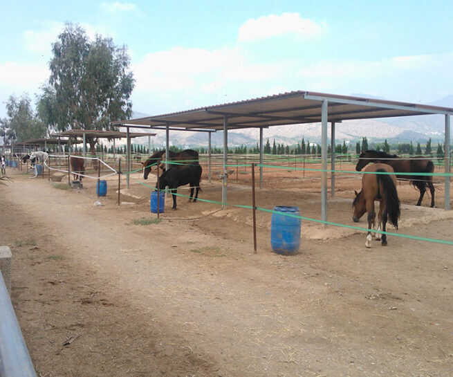 marquesinas para hípicas