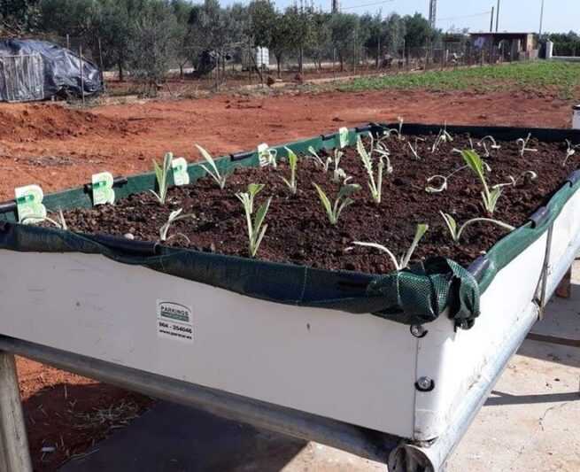 asociacion cultural mesas cultivo e1590420003513 - Marquesinas para Fumadores